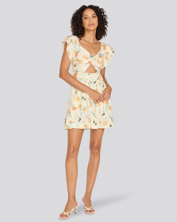 The Renata Mini Dress - Solid & Striped