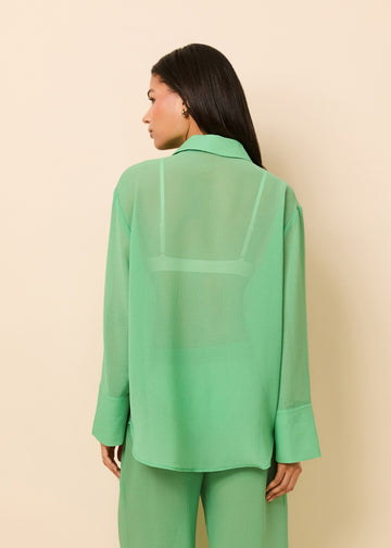 Jaclyn Tunic Crinkle Sheer Turtle Green