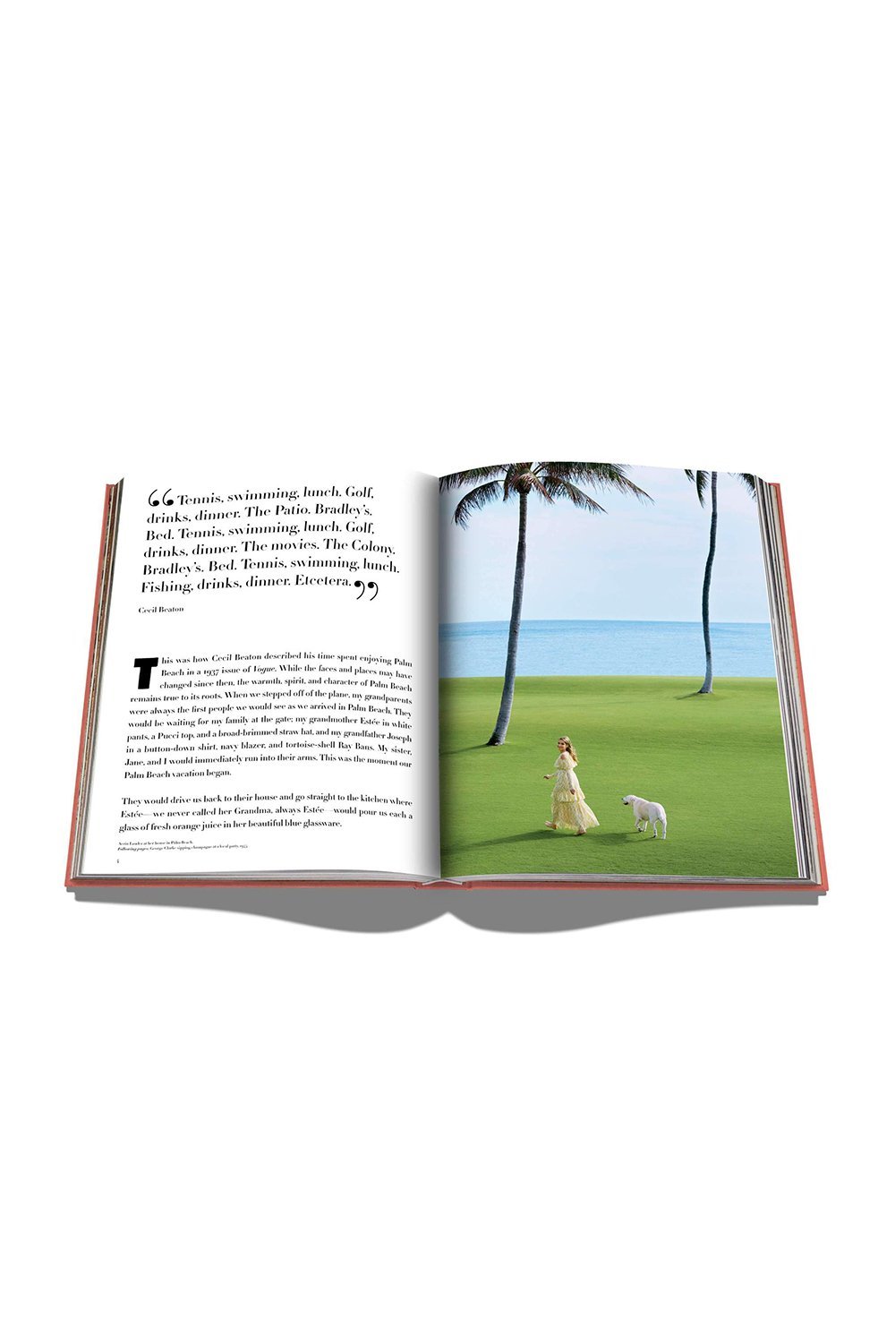 Assouline Palm Beach - Solid & Striped